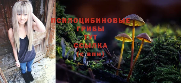 круглые Богородицк