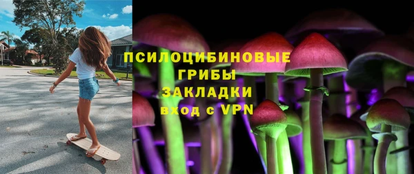 ГАЛЛЮЦИНОГЕННЫЕ ГРИБЫ Богородск