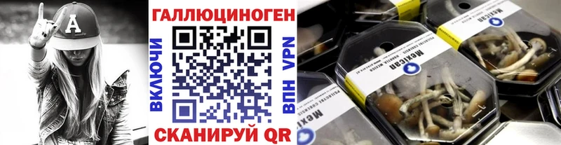 Купить Кувандык Псилоцибиновые грибы Magic Shrooms
